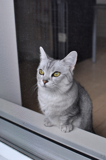 DSC_0034.jpg